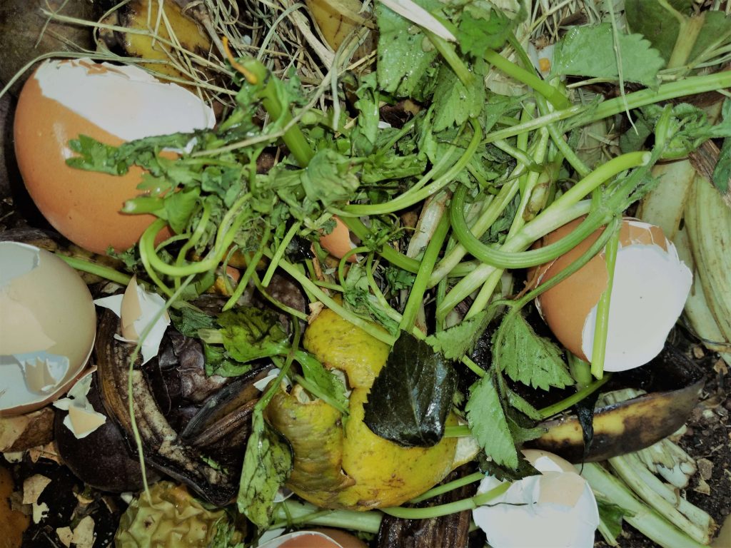 Vegetable, fruit peels, eggshells waste for composting